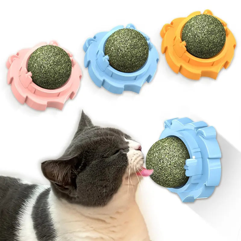 Cute Wall Ball Catnip Cat Toys For Chew Lick Relax