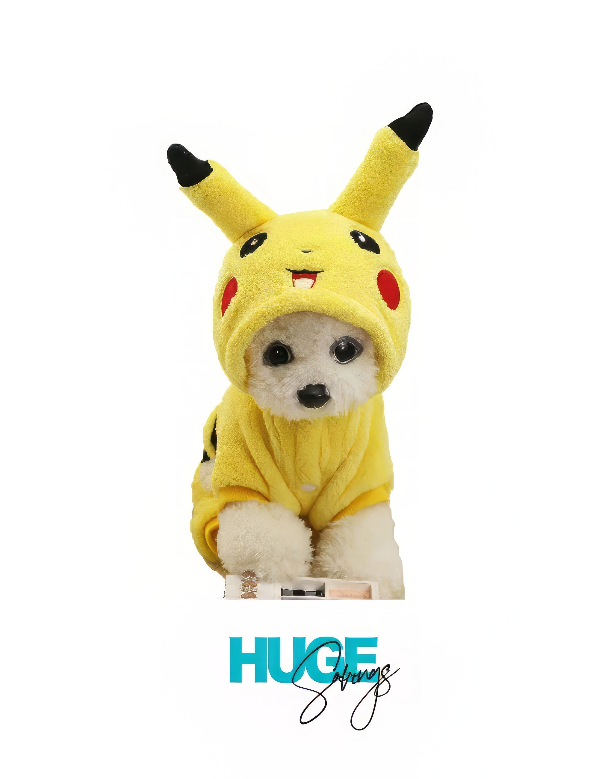 Picachu Lovely Warm Dog Clothes for Winter.