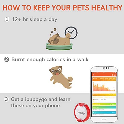 PAWBO iPuppy Go Smart Pet Activity Tracker. - - Green - e4cents