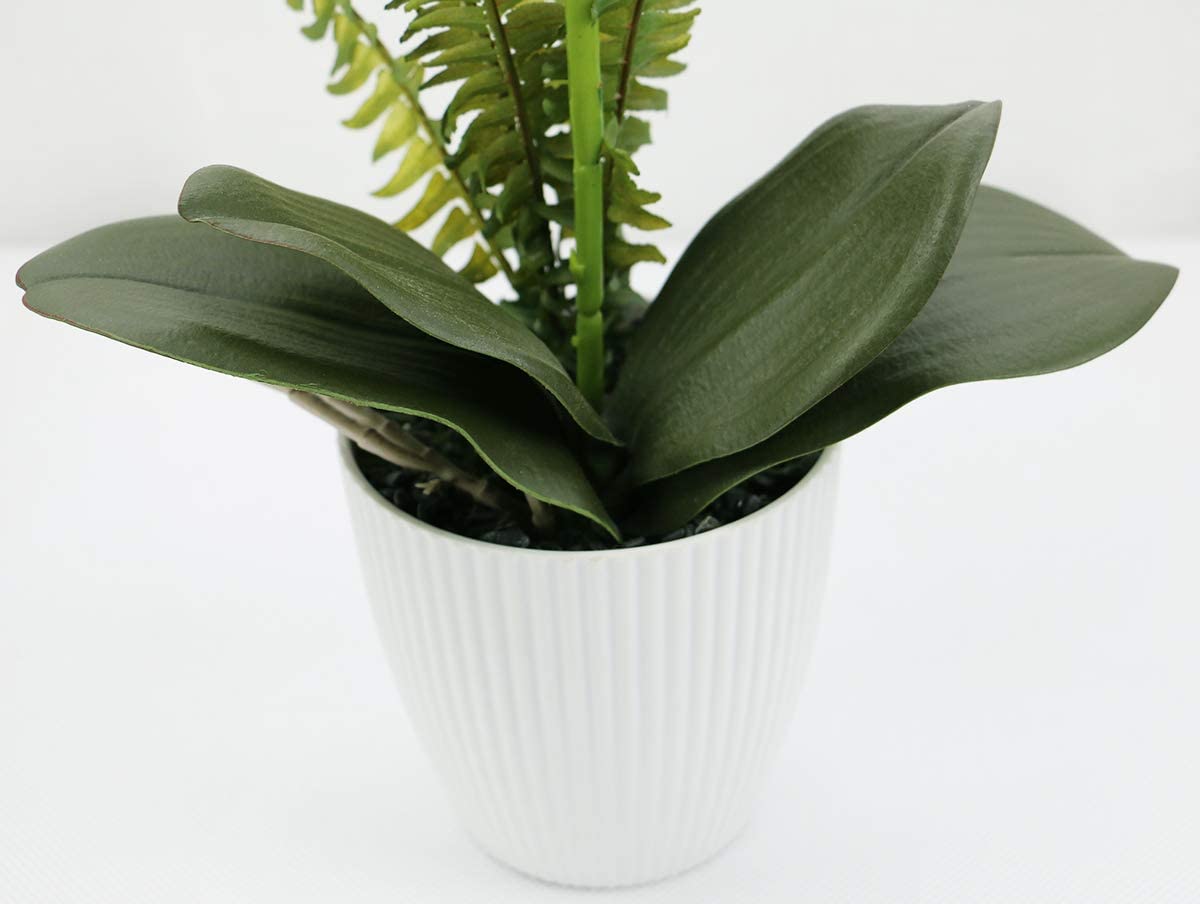 Olrla White Artificial Phalaenopsis Orchid Plant. - e4cents