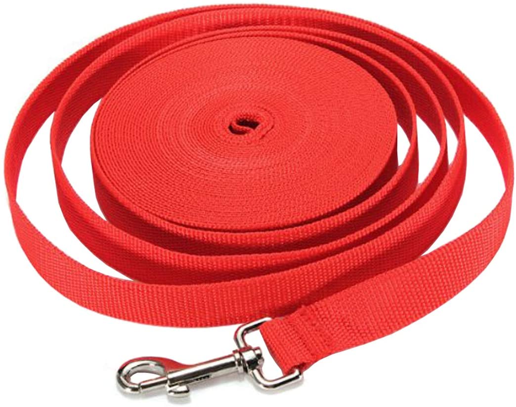 Extra Long Puppy Pet Training Obedience Retractable Lead Leash Recall 3 Color Choice (40Ft, Red) - e4cents