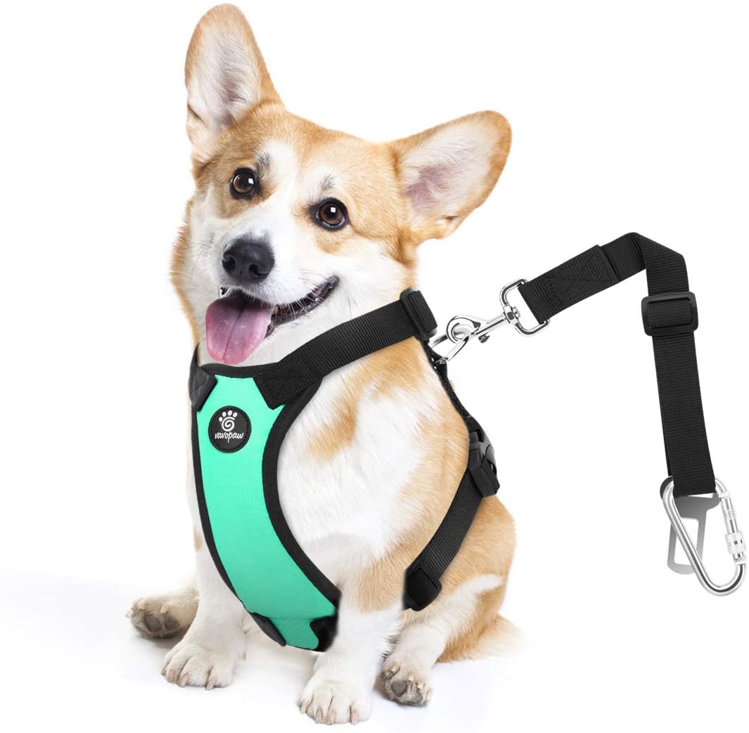 VavoPaw Dog Vehicle Safety Vest Harness. - e4cents