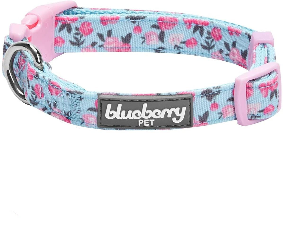 Blueberry Pet  Dog Collar, Large, Neck 18"-26", Adjustable Collars for Dogs - e4cents