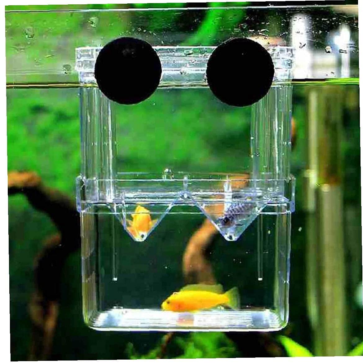 Double-Deck Clear Fish Breeding Isolation Box Aquarium Clear Hatchery Fish Tank Incubator Fish House - e4cents