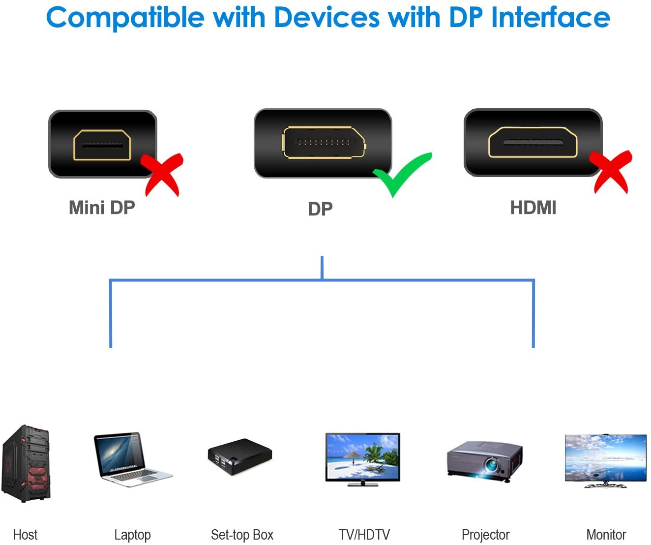 Rankie DisplayPort to DisplayPort Cable, DP to DP, 4K Resolution, 6 Feet, Black - e4cents