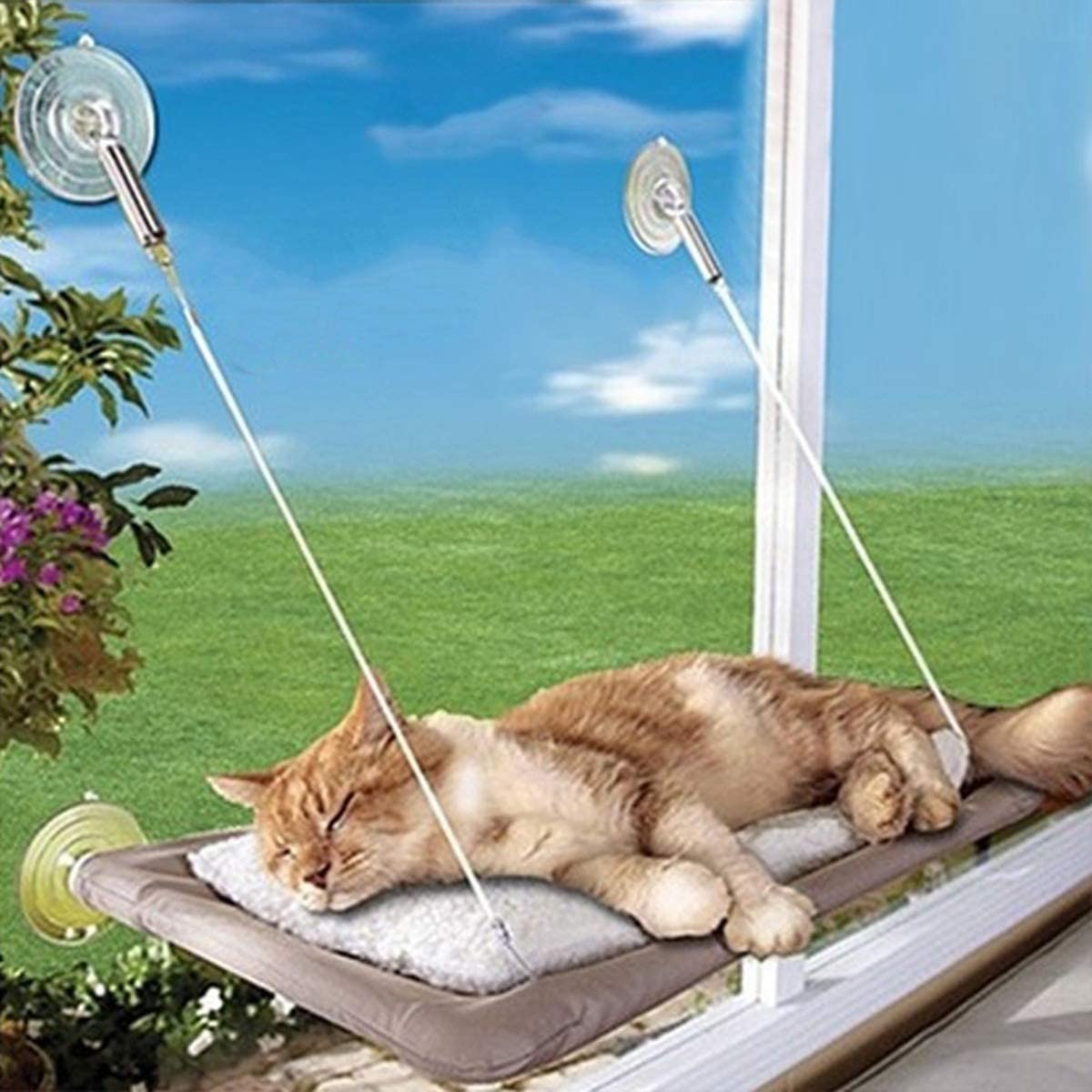 Cat Window Perch Cat Hammock Bed Window Seat with Durable Heavy Duty Suction Cups - e4cents