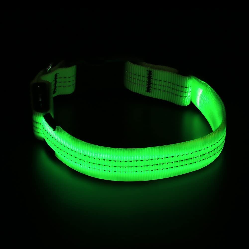 FREE - BSeen LED Dog Collar, USB Rechargeable Light Up Safety Pet Collar with 3 Glowing Modes & 3 Reflective Strings.