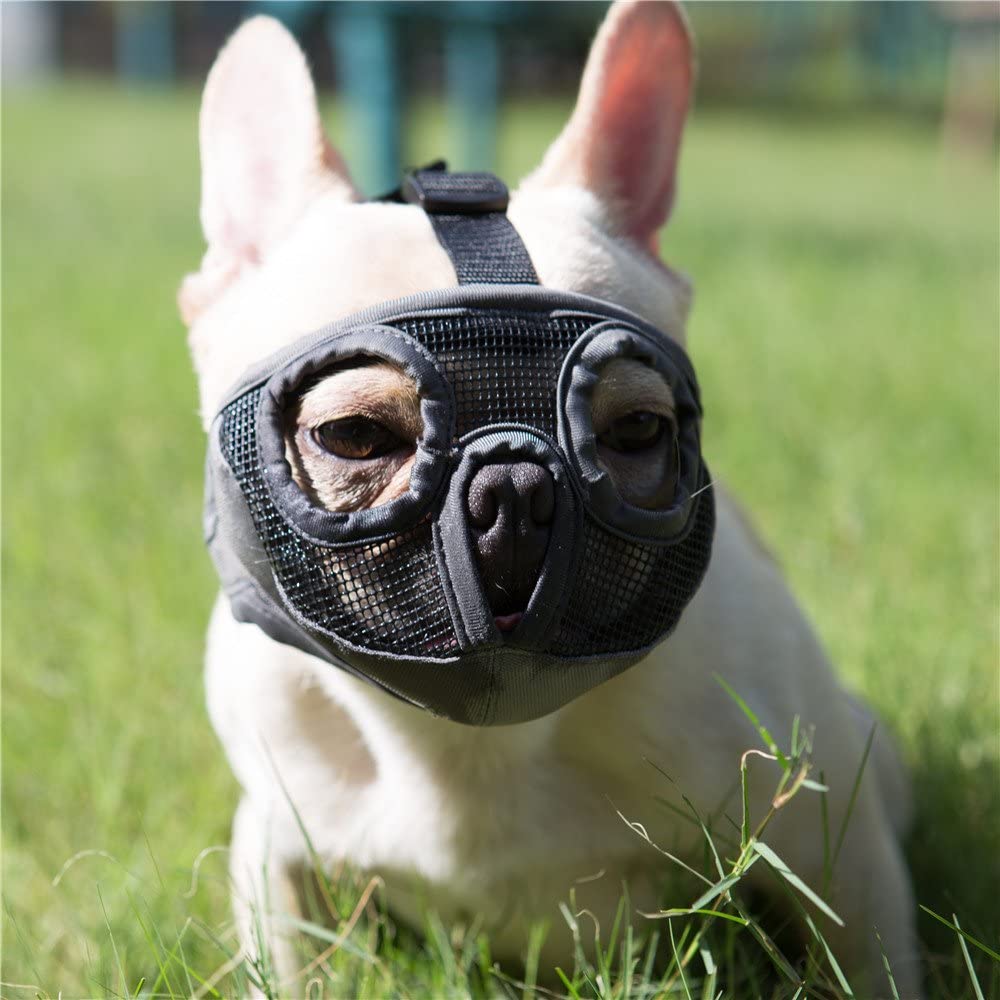 Short Snout Dog Muzzle- Adjustable Breathable Mesh Bulldog Muzzle for Biting Chewing Barking Training Dog Mask,Grey(Eyehole) - e4cents