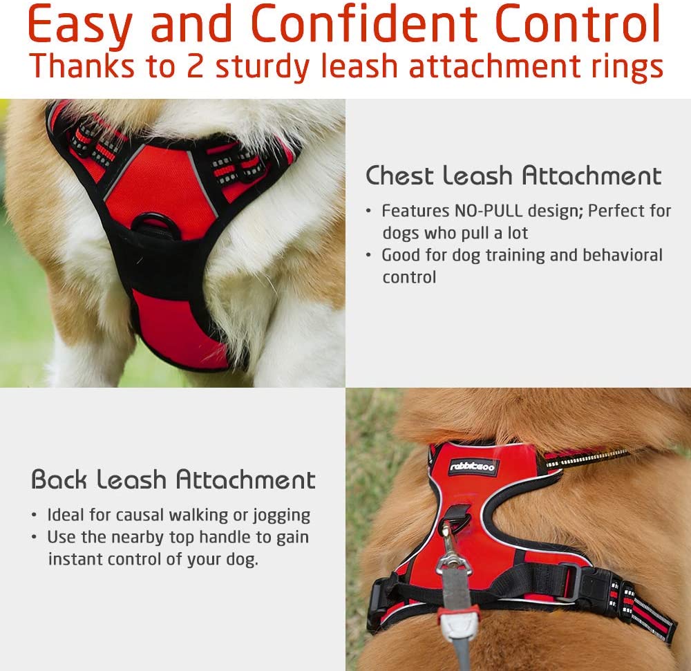 rabbitgoo Dog Harness, No-Pull Pet Harness with 2 Leash Clips - e4cents