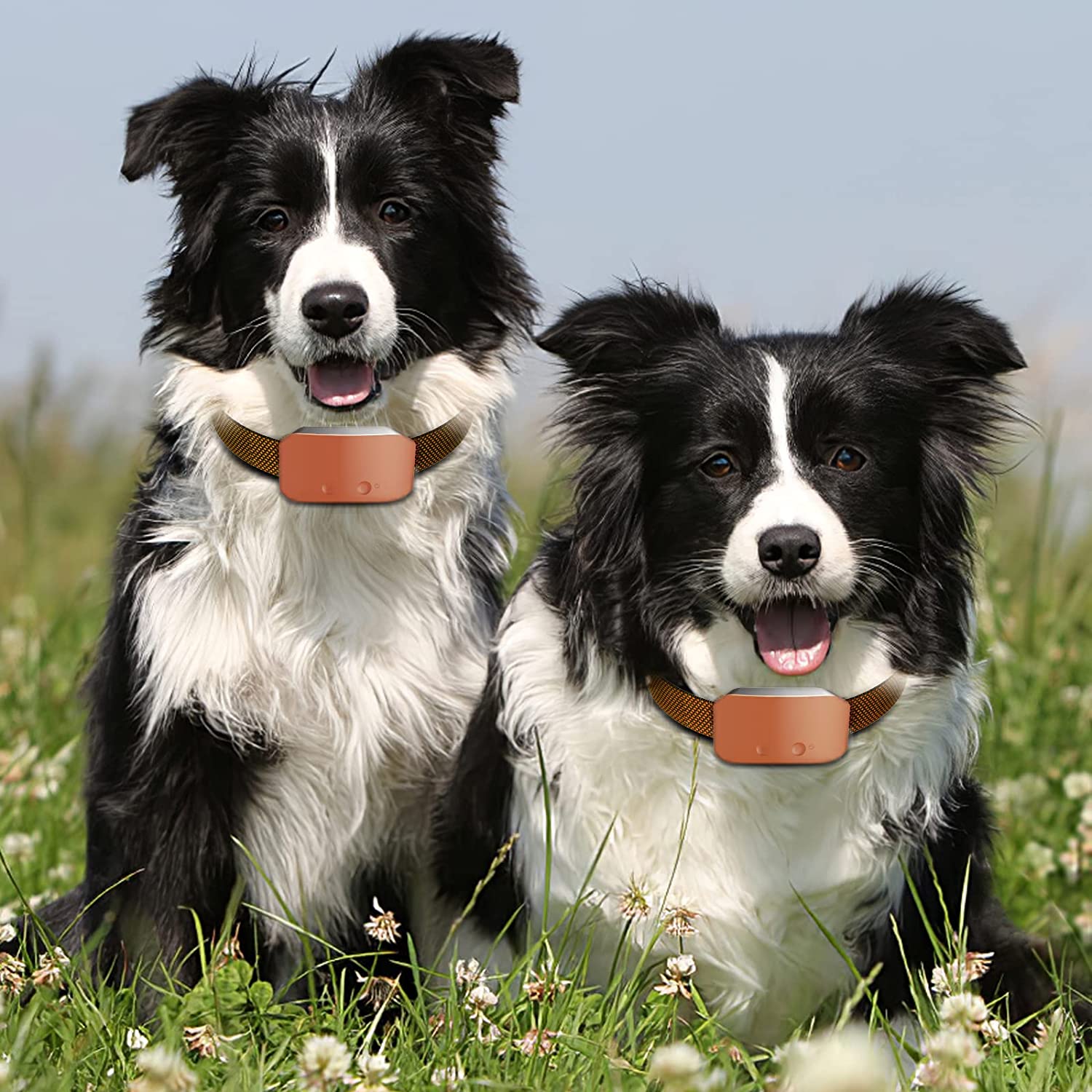 Rechargeable Anti Barking Training Collar with 7 Adjustable Sensitivity -- (LNC)