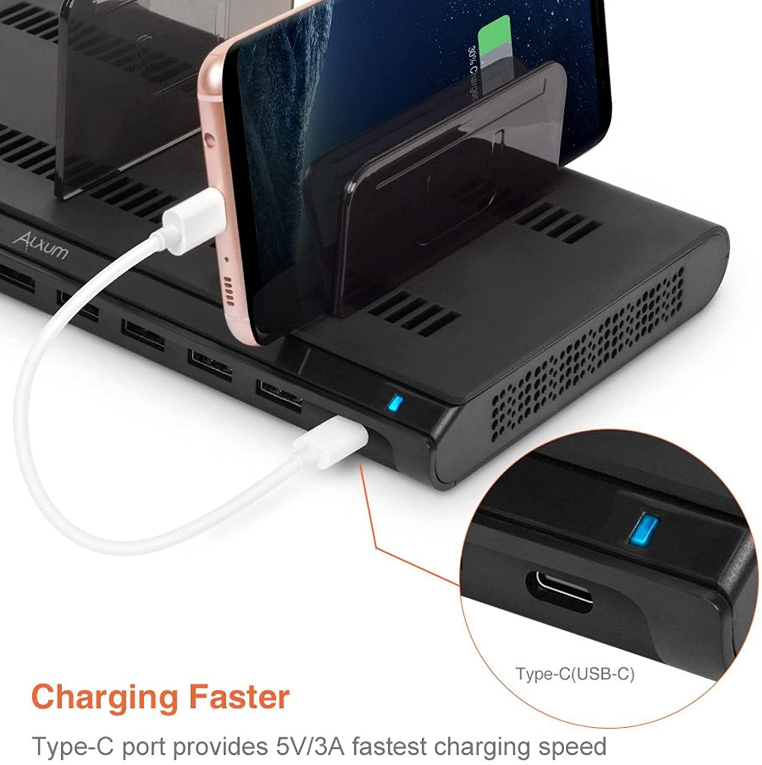 Alxum USB Charging Station, Fast 120W 10 Port Phone Docking Station Organizer with Smart IC.  (LNC)