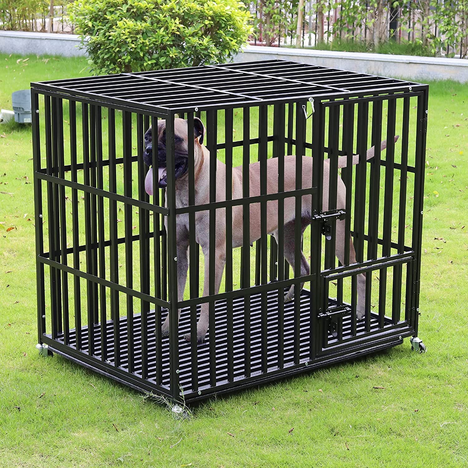 42 Tall XL Durable Tough Raised Dog Kennels and Crates with Bottom (NC)