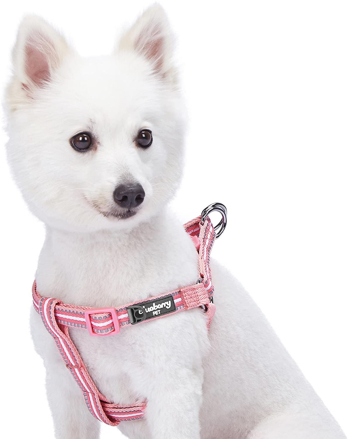 Blueberry Pet Dog Harness, Chest Girth 16.5" - 21.5", Small, Adjustable Harnesses for Dogs - e4cents