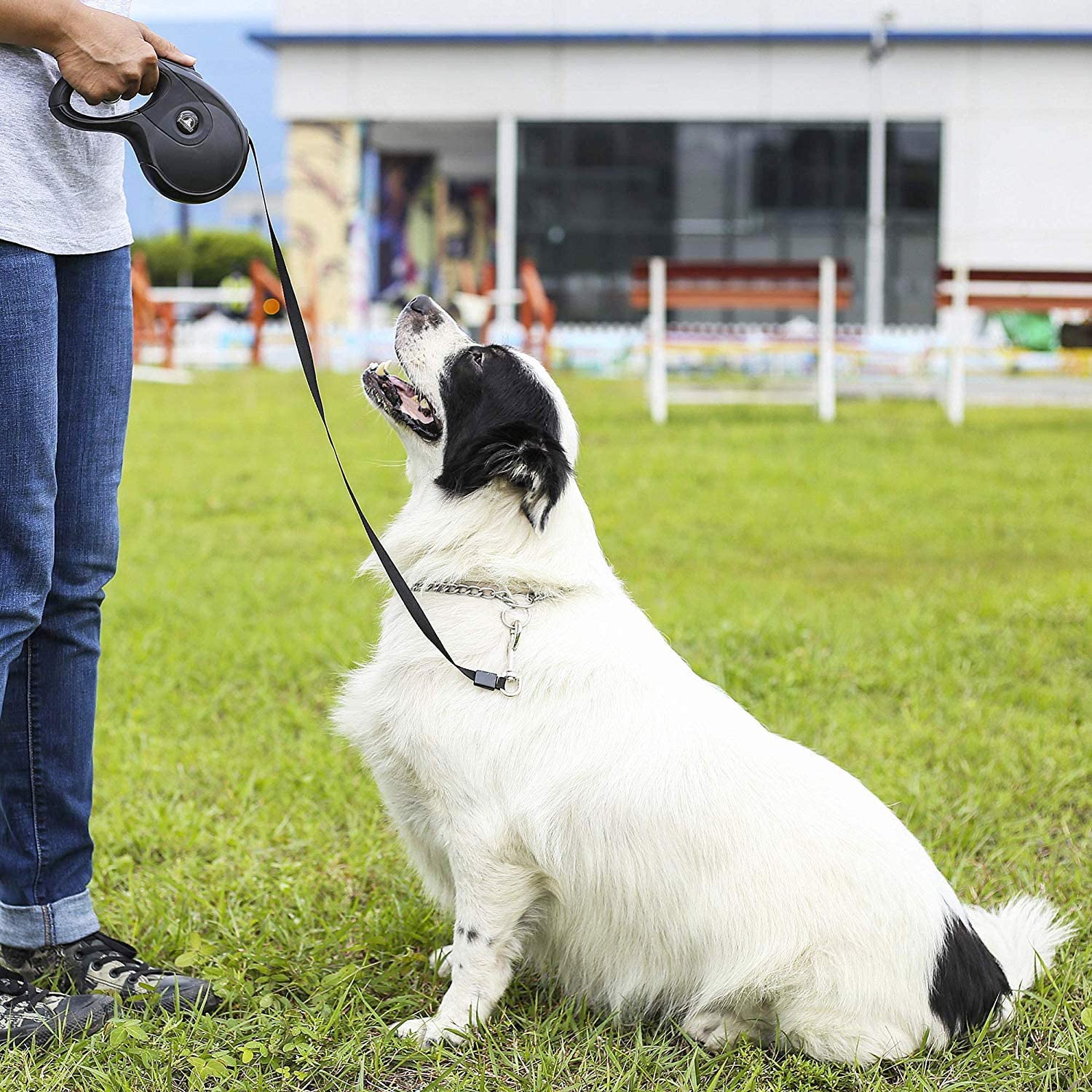 Pet Union Dog Lead Retractable Dog Leash, 16FT Super Strong Leas. - e4cents