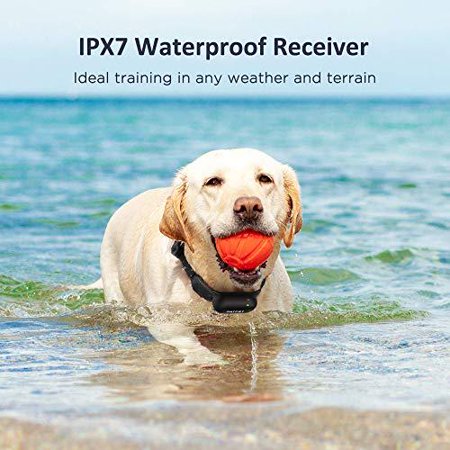 PATPET Small Size Dog Training Collar w/3 Safe Training Modes  -- (LNC)