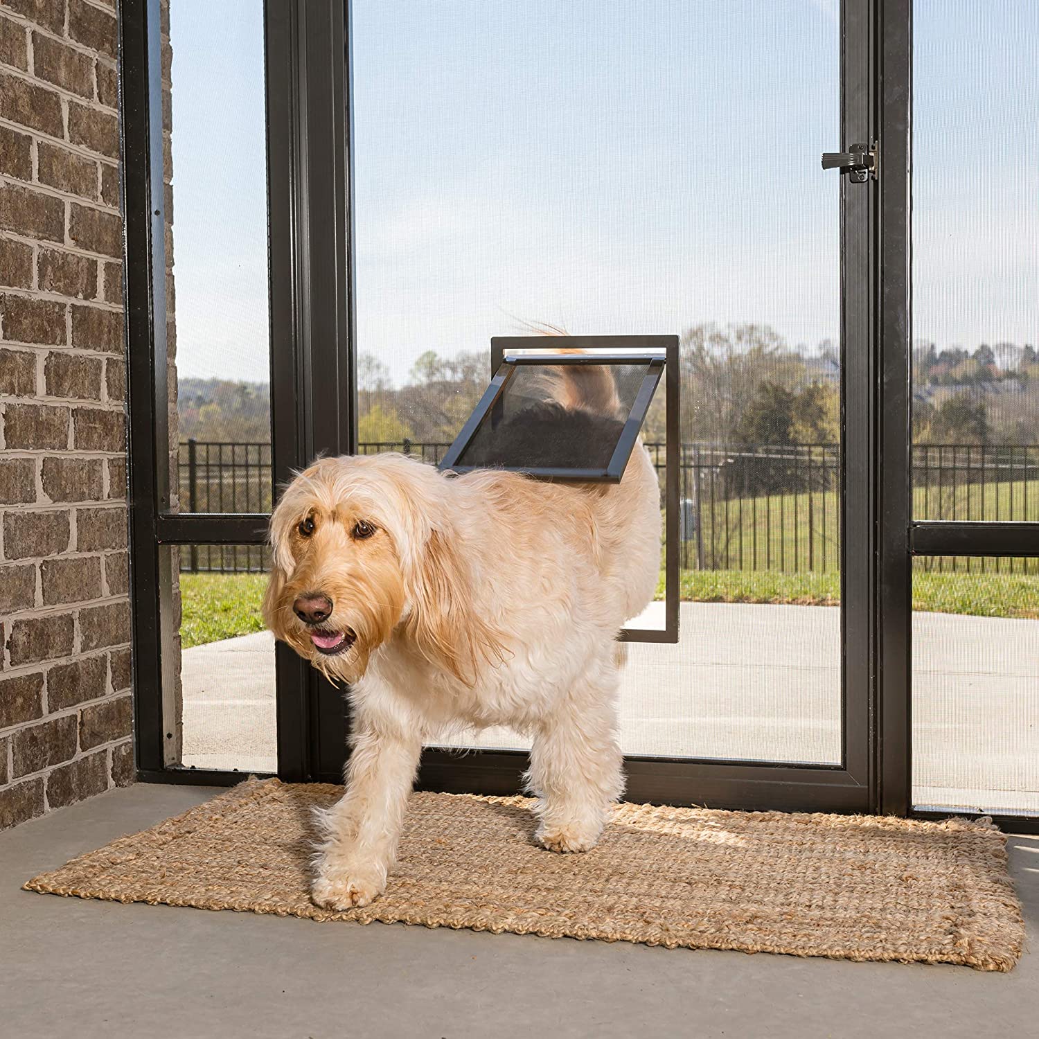 PetSafe Pet Screen Door - Dog and Cat Door for Screen Door, Window and Porch Use - e4cents
