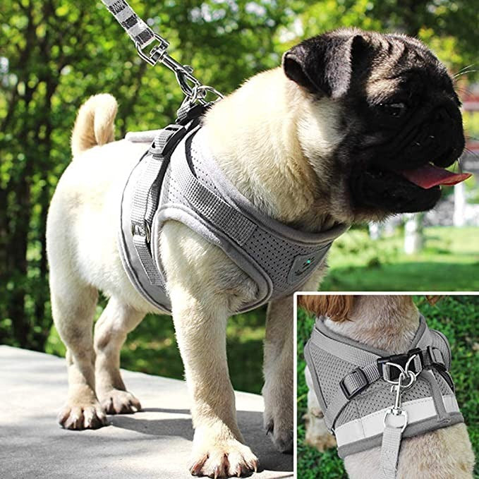 Dog Vest Harness,Pet Puppy Lead Chest Walking Leash,Mesh Fabric,Gray, M - e4cents