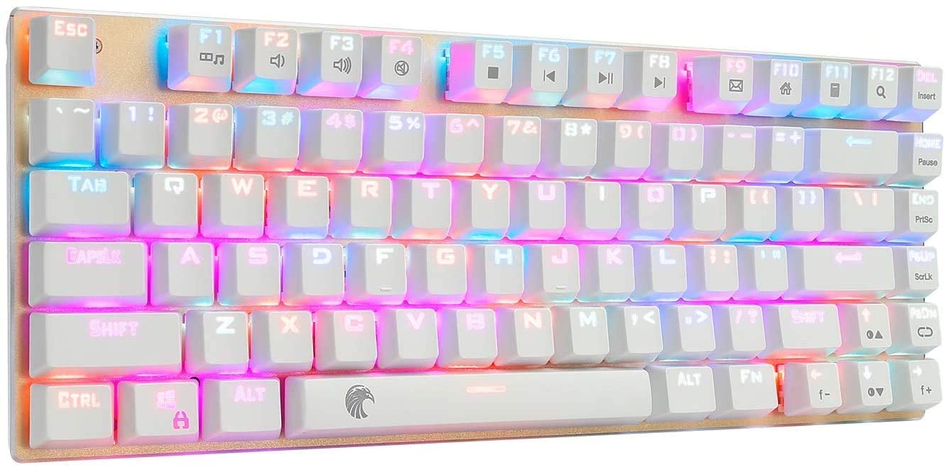 Z-88 RGB Mechanical Gaming Keyboard, Blue Switches - Clicky, USB Wired 60% Compact 81 Keys Hot Swappable for Mac, PC, Gold and White.