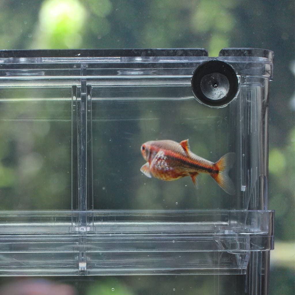Mini Fish Breeding Tank Incubator Isolation Acrylic for Aquarium (Large size).